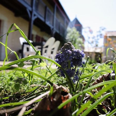 Villa Au Repos Des Elfes Braye-sous-Faye Esterno foto