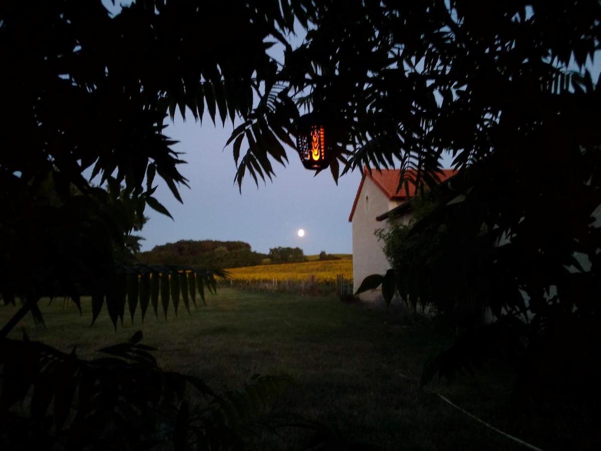 Villa Au Repos Des Elfes Braye-sous-Faye Esterno foto