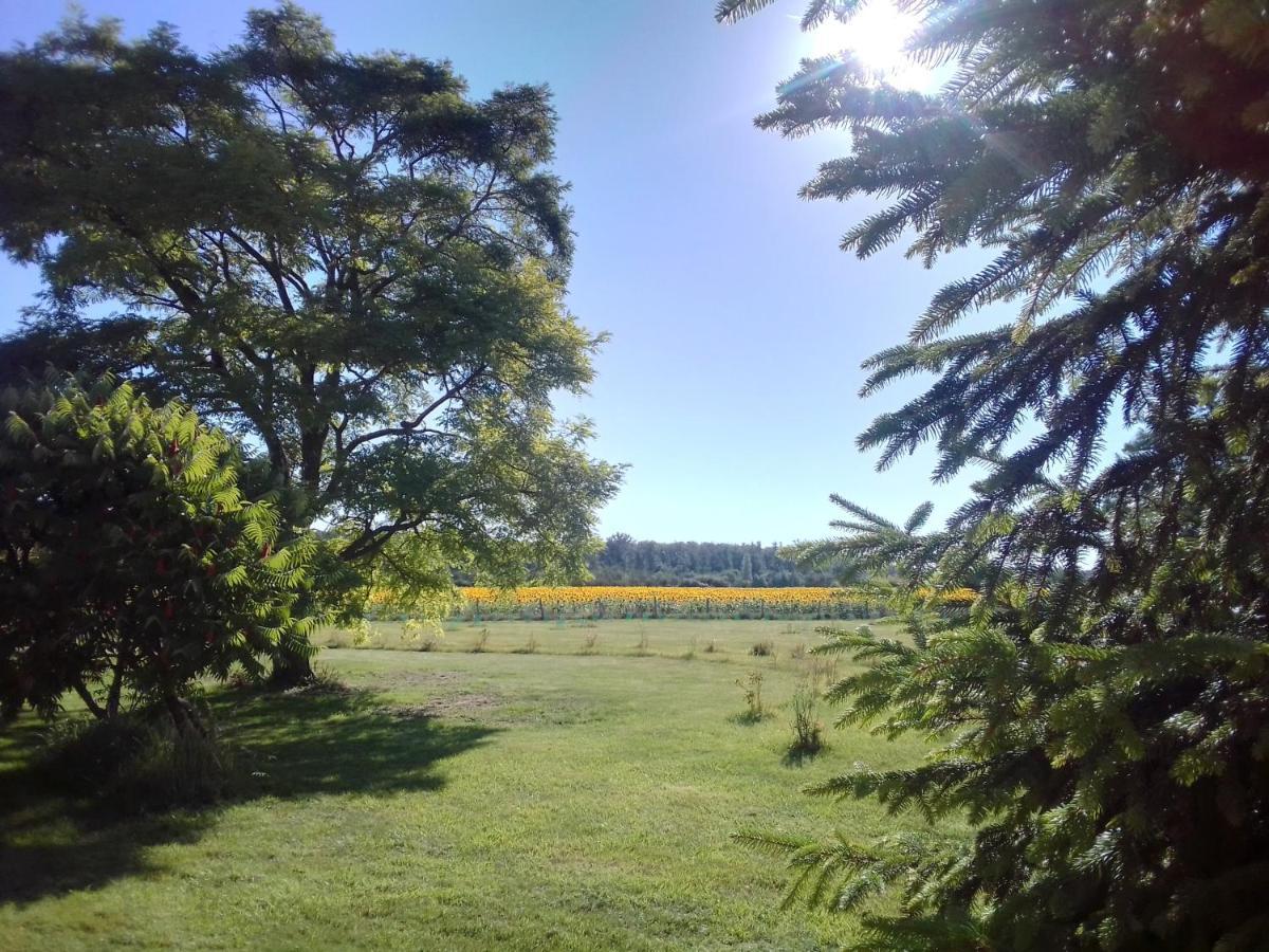 Villa Au Repos Des Elfes Braye-sous-Faye Esterno foto
