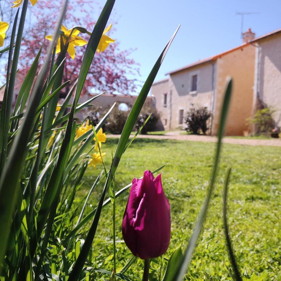 Villa Au Repos Des Elfes Braye-sous-Faye Esterno foto