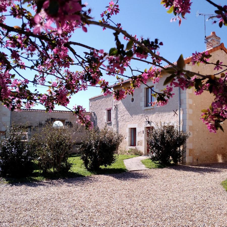 Villa Au Repos Des Elfes Braye-sous-Faye Esterno foto