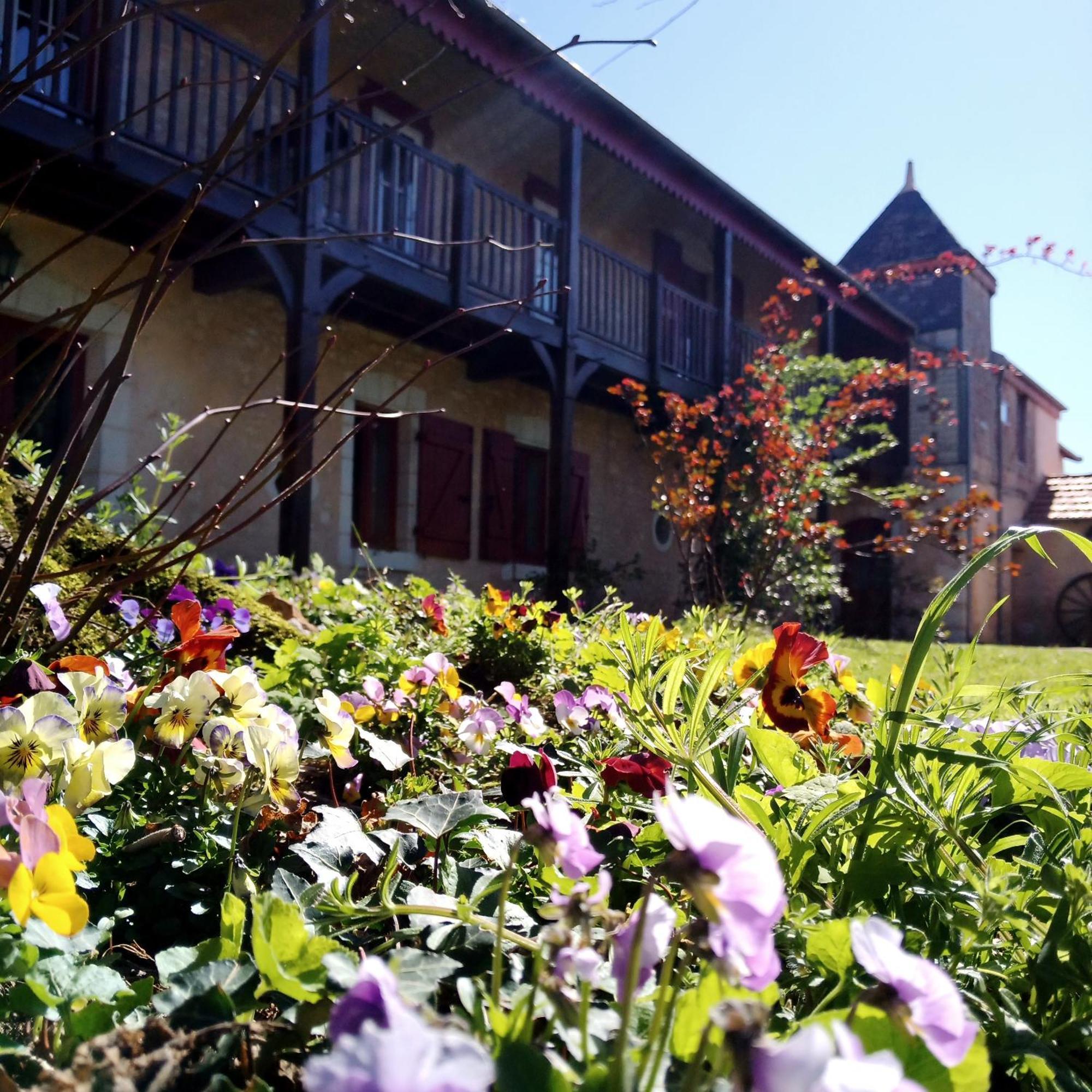 Villa Au Repos Des Elfes Braye-sous-Faye Esterno foto