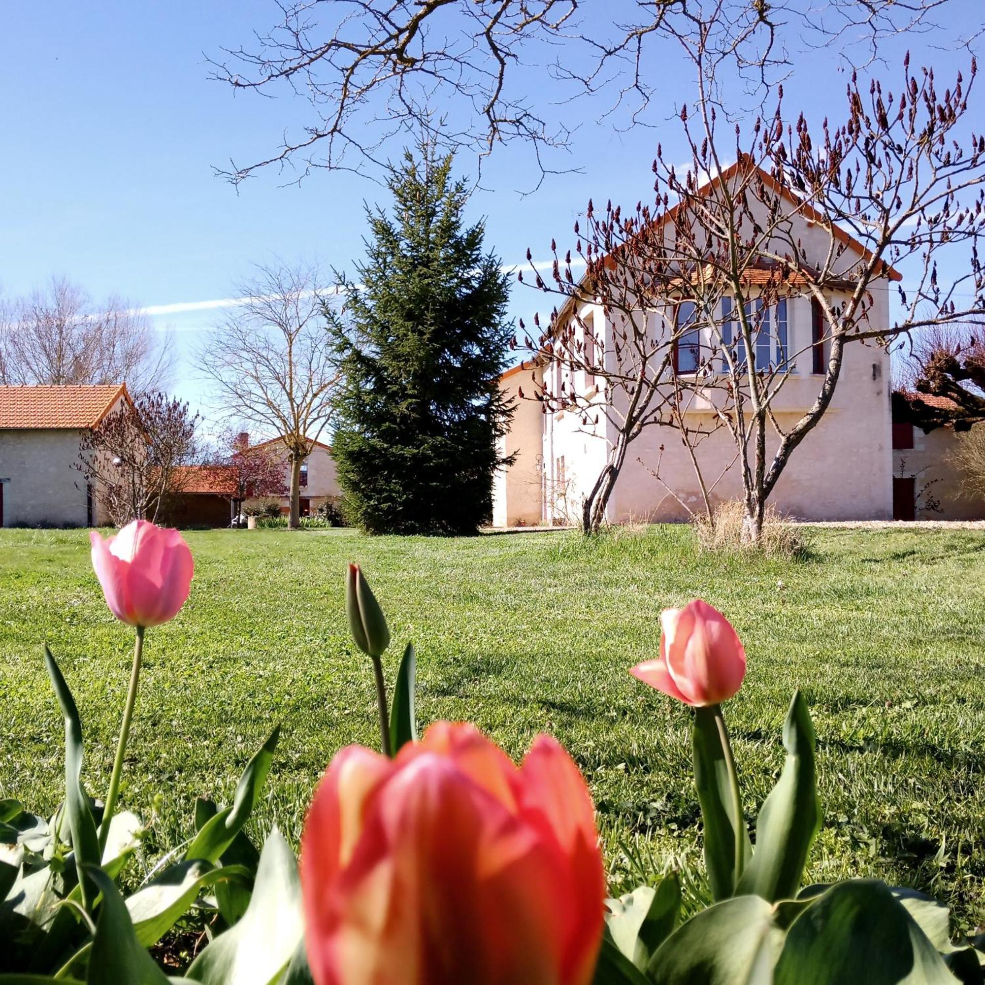 Villa Au Repos Des Elfes Braye-sous-Faye Esterno foto
